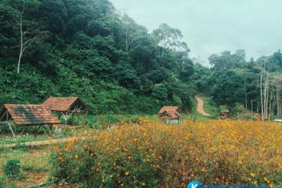 [Kon Tum] khám phá Măng Đen “Đà Lạt” của Kon Tum