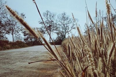 [Đắk Nông] Vẻ đẹp thuần khiết của Đắk Mil – “thiếu nữ” ngủ quên giữa Tây Nguyên đại ngàn