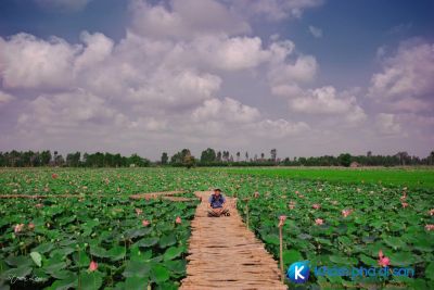 [Đồng Tháp] những điểm đến không thể bỏ qua khi đến Đồng Tháp