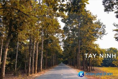 Những điểm đến không thể bỏ qua khi đến Tây Ninh