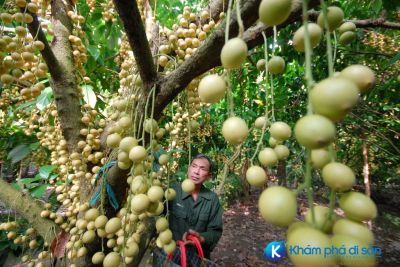 [Cần Thơ] những điểm đến không được bỏ qua khi du lịch Cần Thơ