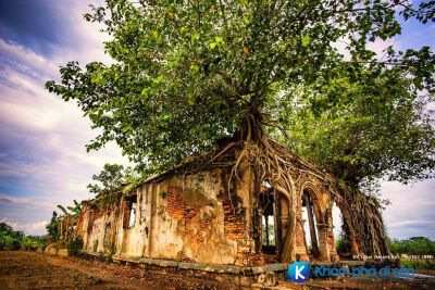 [Tiền Giang] đình Tân Đông – vẻ đẹp kì bí hơn 100 năm tuổi dưới gốc cây bồ đề
