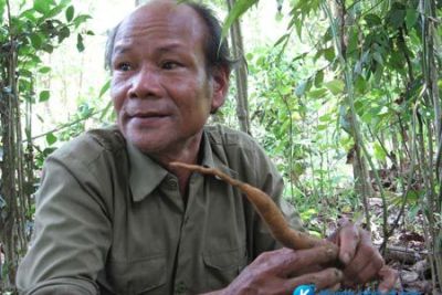 Đến Nam Đông tham quan vườn thuốc của lương y Hồ Văn Sự