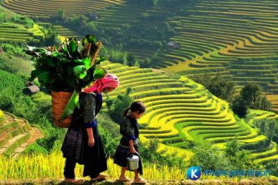 Núi Cô Tiên – Vẻ đẹp Lào Cai qua ống kính