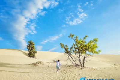 [Ninh Thuận] đồi cát Nam Cương vẻ đẹp của mãnh đất đầy nắng và gió