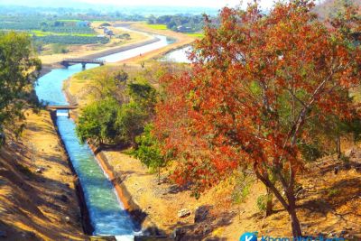 [Bình Thuận] Hồ sông Quao – hoang sơ quyến rũ giữa đại ngàn