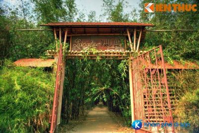 [Bình Dương] Làng tre Phú An – khu bảo tồn tre lớn nhất tại Việt Nam