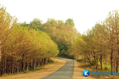 [Gia Lai] Vườn quốc gia Kon Ka Kinh “nóc nhà của Gia Lai”