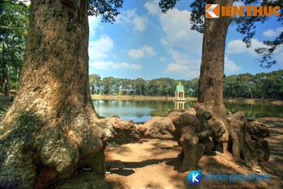 [Trà Vinh] Ao Bà Om di tích bước ra từ truyền thuyết người Khmer