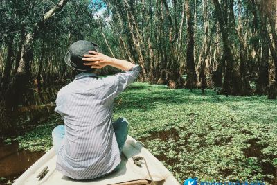 [An Giang] cuối tuần về An Giang khám phá rừng tràm Trà Sư