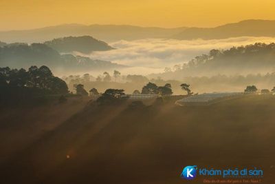 [Đà Lạt] Muốn ngắm sương mù đẹp ở Đà Lạt thì hãy đến Trại Mát!