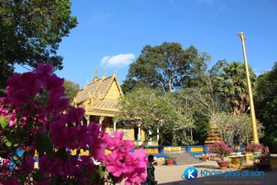 [Sóc Trăng] khám phá nét độc đáo của ngôi chùa có dơi ở tại Sóc Trăng