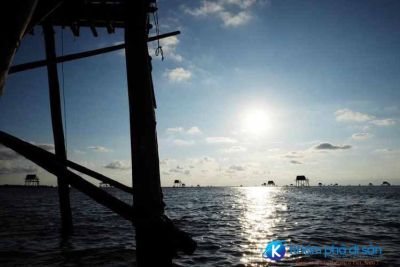 [Thái Bình] Biển Đồng Châu – vẻ đẹp của một vùng biển rất riêng
