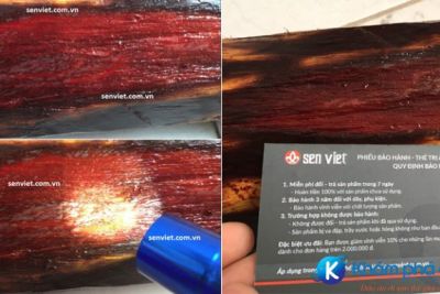 Tổng hợp những địa chỉ bán vòng gỗ tử đàn đỏ uy tín