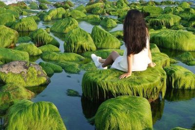 [Phú Yên] Khám phá thiên đường rêu – Bờ kè Xóm Rớ