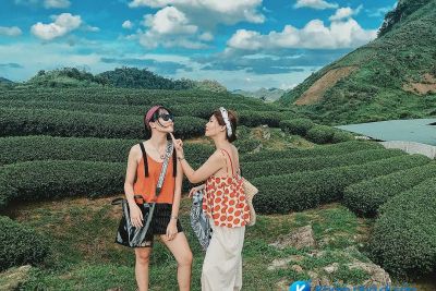 [Mộc Châu] Top 7 địa điểm check-in cho dân mê sống ảo khi đến Mộc Châu