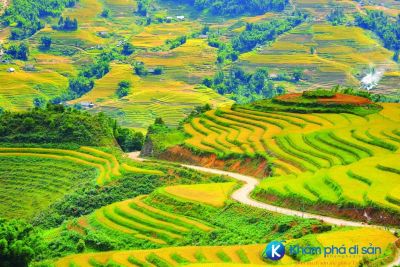 [Sapa] Bản Tả Van – Nơi săn ảnh vào mùa lúa chín