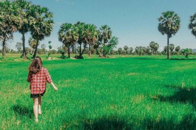 4 địa điểm lý tưởng cho bạn tận hưởng mùa thu tuyệt vời tại Việt Nam