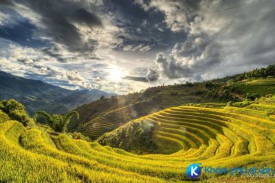 [Yên Bái] 5 địa điểm ngắm lúa chín đẹp nhất tại Mù Cang Chải