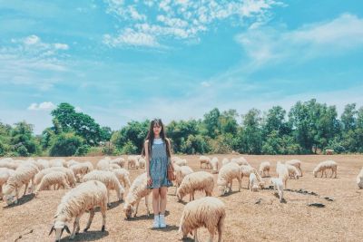 [Vũng Tàu] 3 địa điểm sống ảo “chất hơn nước cất” tại Vũng Tàu