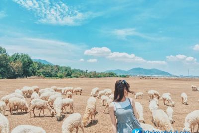 4 đồng cừu đậm chất “du mục” cho bạn du hí vào cuối tuần