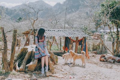 8 điểm đến tuyệt đẹp để bạn ngắm mùa thu trong tháng 10