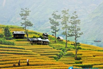 [Sơn La] Top 10 địa điểm phải check-in khi đến Sơn La