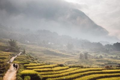 Nhanh tay note lại lịch trình “săn” mùa vàng Tây Bắc