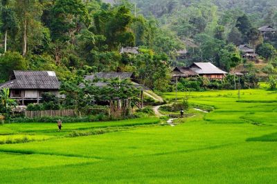 [Sơn La] Khám phá trải nghiệm Vân Hồ