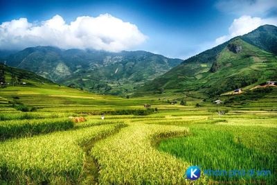 [Điện Biên] Vẻ đẹp cánh đồng Mường Thanh