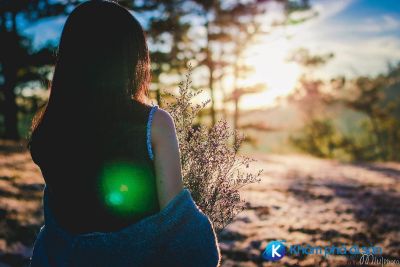 [Đà Lạt] Đồi Hoa Cỏ Hồng – điểm hẹn của Đà Lạt tháng 12