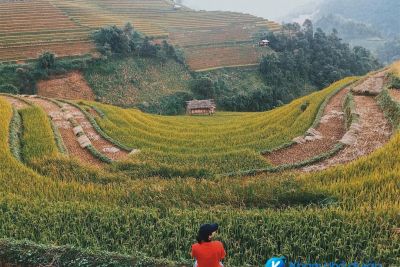 [Yên Bái] Kinh nghiệm du lịch Mù Cang Chải tự túc, siêu chi tiết từ A-Z