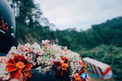 Tháng 11 lên Hà Giang tham gia lễ hội hoa Tam giác mạch 2018