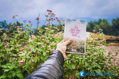 [Hà Giang] 7 lý do bạn nên đi du lịch Hà Giang vào mùa đông