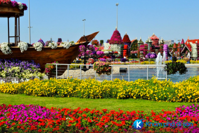 [Dubai] Hành trình khám phá vườn hoa Miracle Garden
