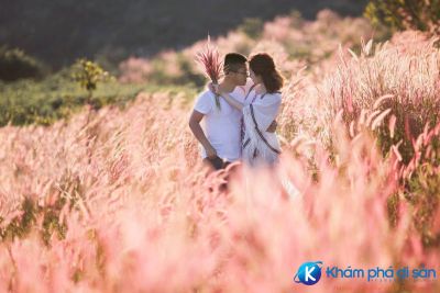 [Đà Lạt] Top 7 lý do nên đến Đà Lạt một lần trong đời