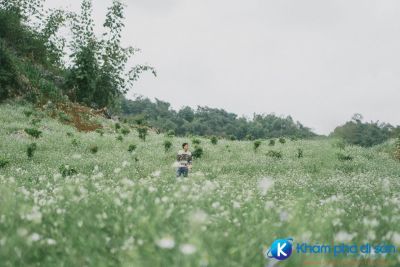 [Mộc Châu] Bản Pa Phách – vẻ đẹp tựa “thiên đường” trên cao nguyên Mộc Châu