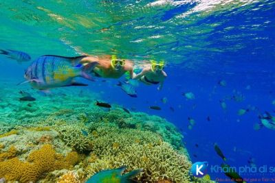 [Australia] Great Barrier Reef – Nơi tạo hóa kỳ diệu của thiên nhiên