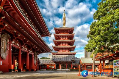 [Nhật Bản] Đền Asakusa Kannon – Biểu tượng thiêng liêng của Tokyo
