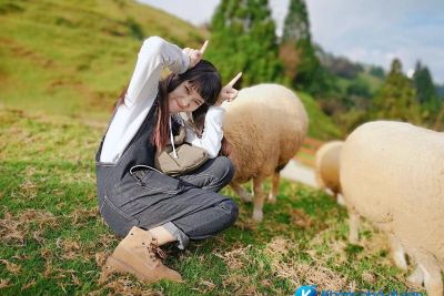 [Đài Loan] Nông trại Cingjing (Cingjing Farm) – Thụy Sĩ thu nhỏ trên đất Đài Loan