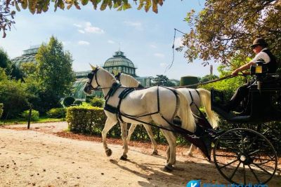 [Áo] Cung điện Schönbrunn lộng lẫy trên đất Áo