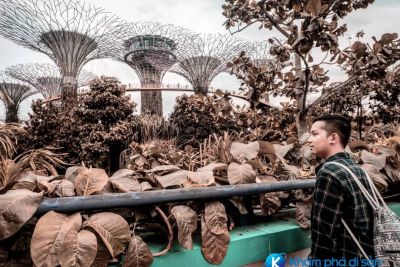 [Singapore] Những tọa độ check-in tố cáo bạn đang ở Singapore