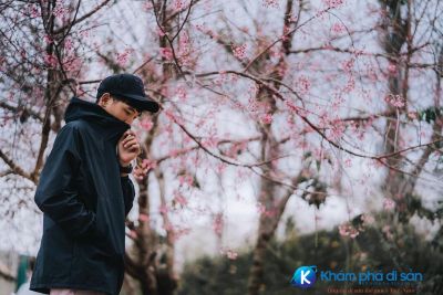 Đà Lạt tháng 2 và sức hấp dẫn khó cưỡng