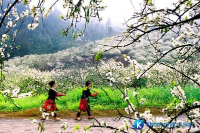 Đi đâu chơi vào dịp lễ Giỗ Tổ Hùng Vương