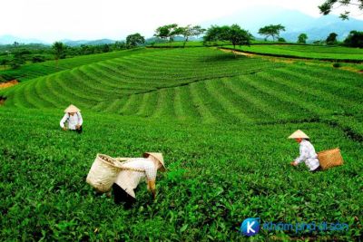 48h Khám phá Thái Nguyên – Đi đâu, ăn gì, ở đâu tại Thái Nguyên ?