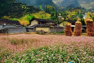 [Hà Giang] Top 10 điểm đến không nên bỏ qua khi đến Hà Giang