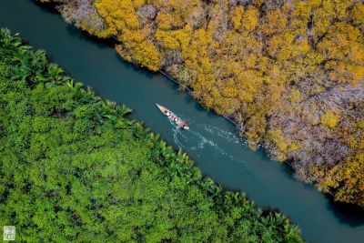 Về Huế, ngỡ ngàng sắc thu rừng ngập mặn Rú Chá