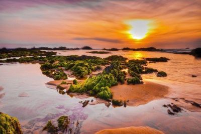 [Bình Định] Gành đá Lộ Diêu – “nàng tiên” chưa được đánh thức