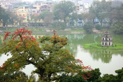 Hà Nội: Tháng Ba hoa gạo đỏ