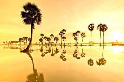 Du lịch An Giang với 10 địa điểm checkin An Giang siêu đẹp